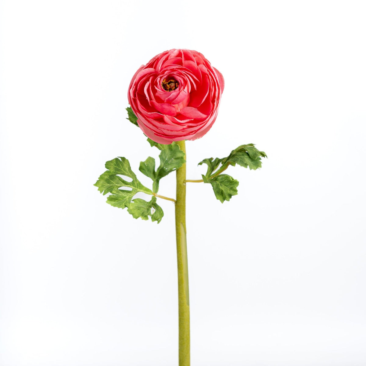 24" Faux Pink Ranunculus