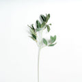 30" faux Green Leaves
