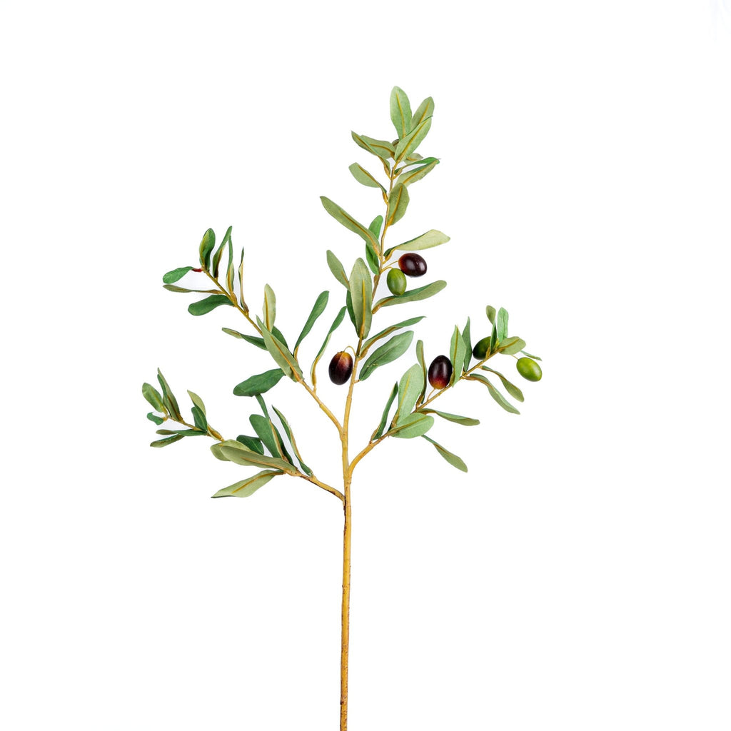 Green Olive 34" Branch