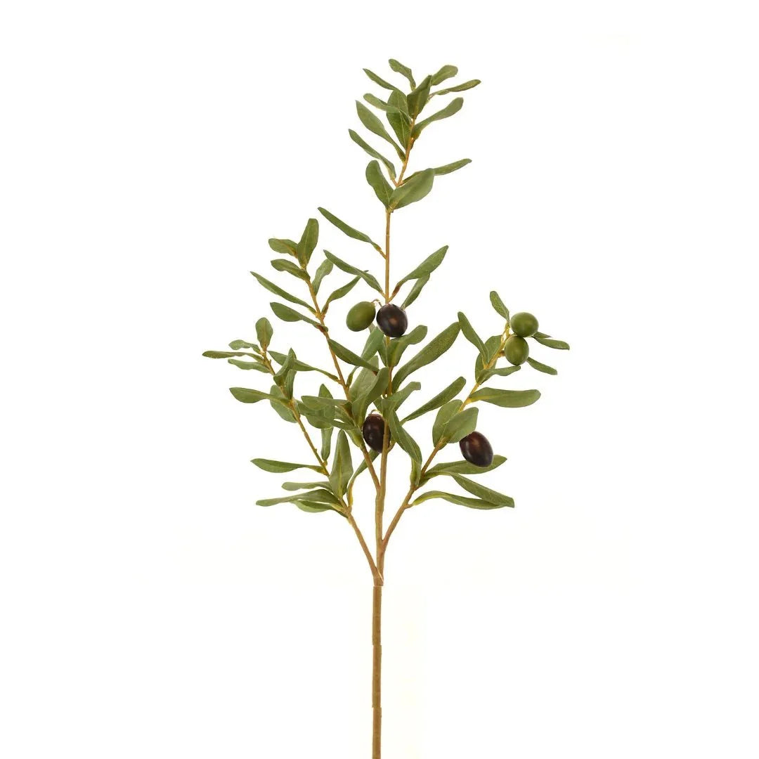 Green Olive 34" Branch