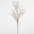Brown Stem Botanical Pick