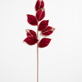 Burgundy Velvet Leaf Pick with Champagne Tips