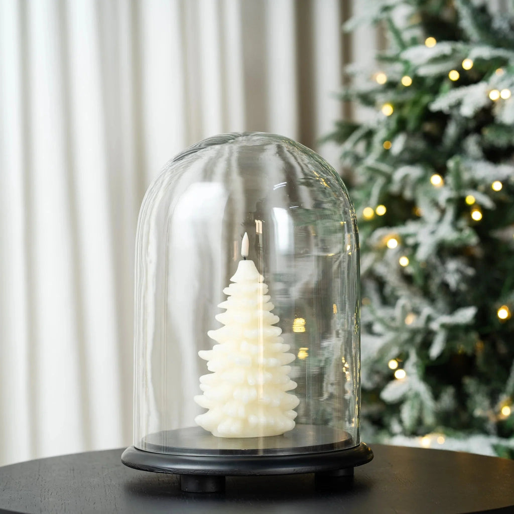 Decorative Glass Cloche With Wooden Base - Large