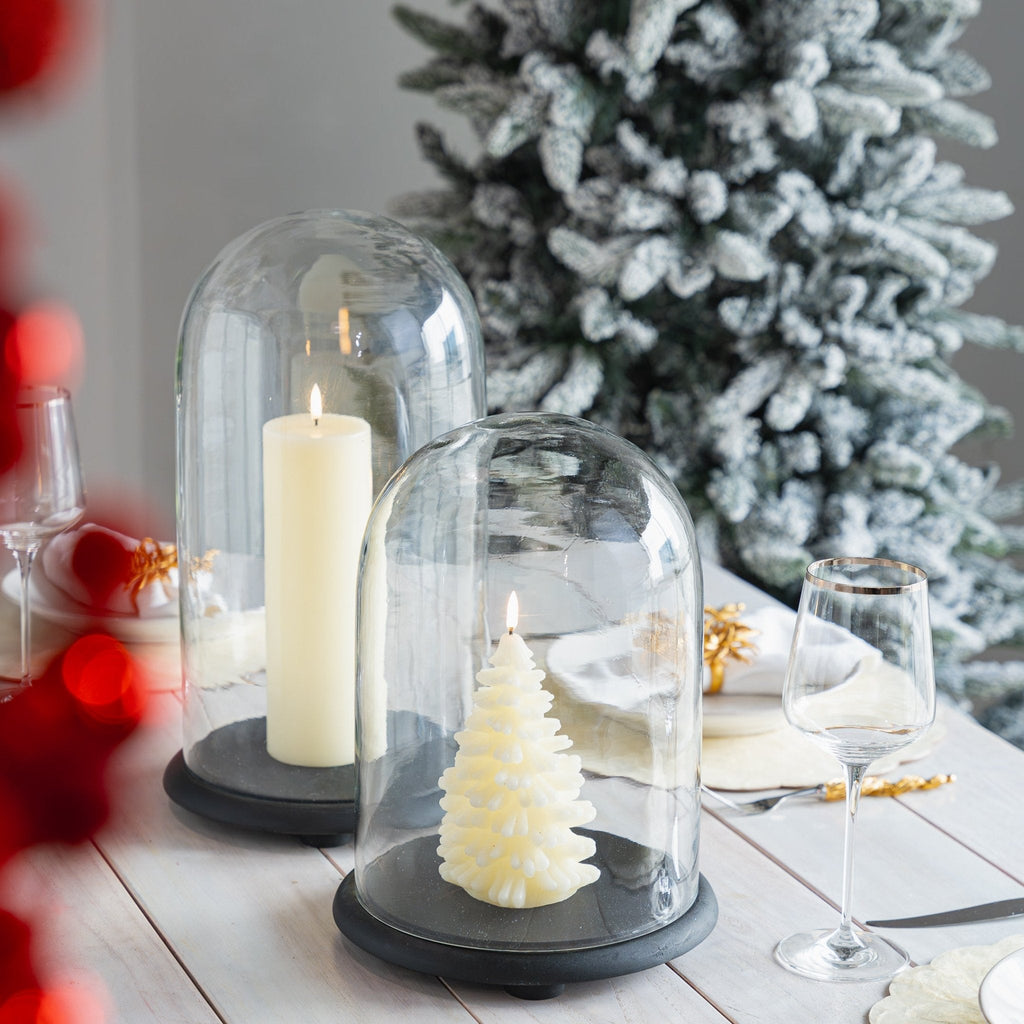 Decorative Glass Cloche With Wooden Base - Large