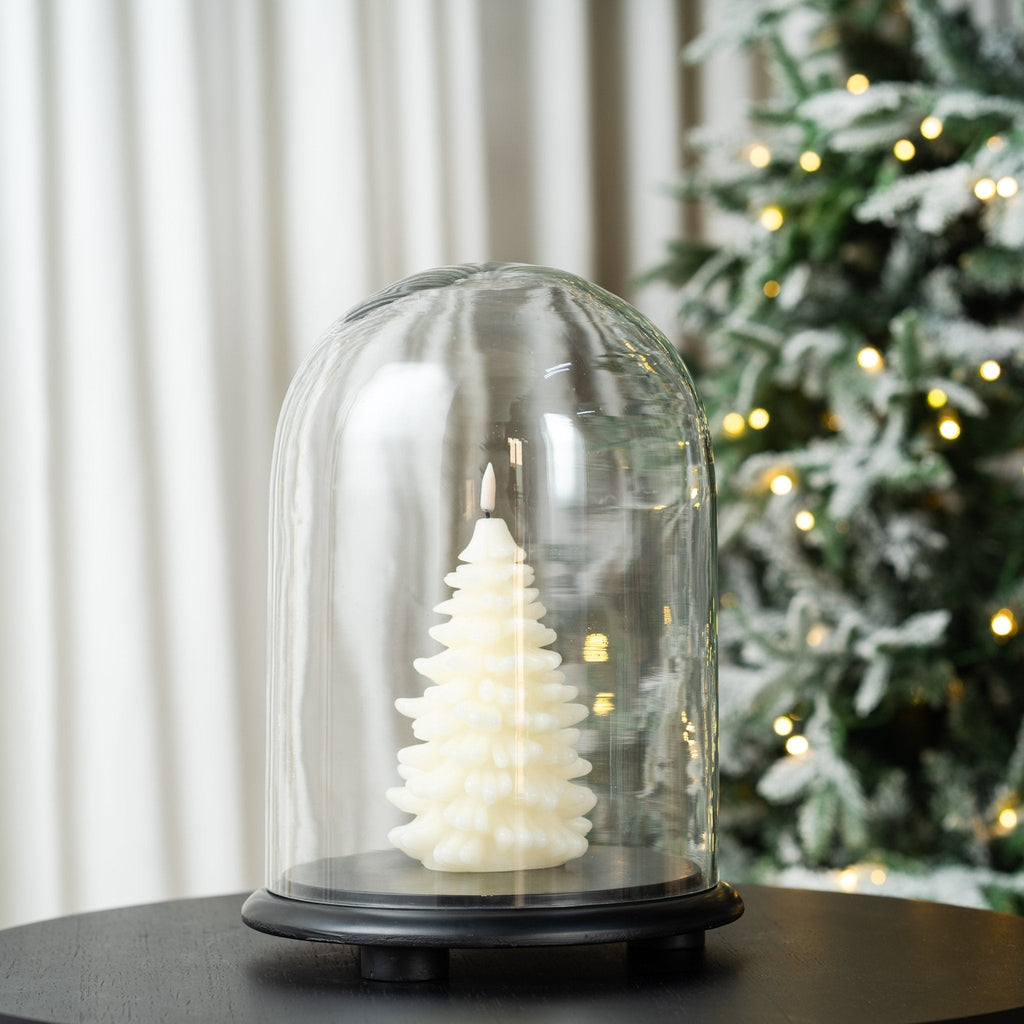 Decorative Glass Cloche With Wooden Base