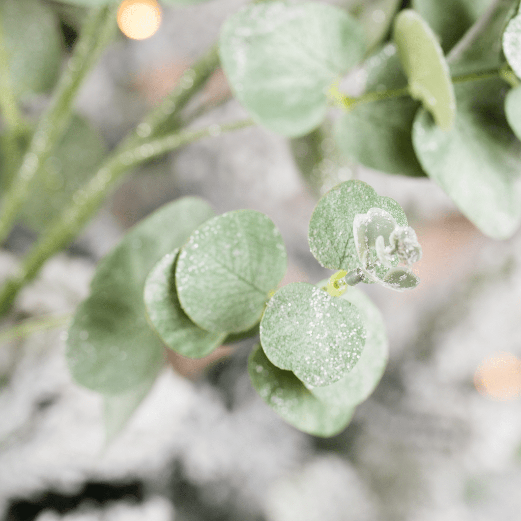 Green Eucalyptus Botanical Pick
