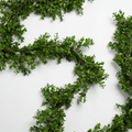Green Real Touch Boxwood Garland 9 ft