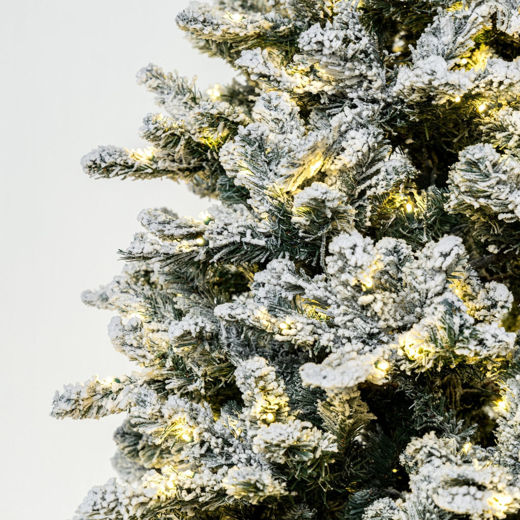Joy By 7.5' Flocked Christmas tree with 700 Warm White LED Lights