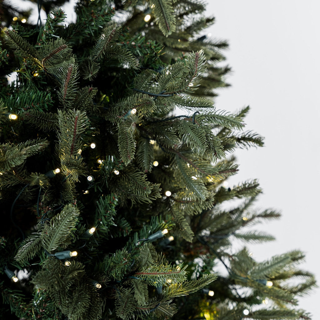 Joy By 7.5' Pre-lit Fraser Fir Christmas Tree with 800 Warm White LED Lights