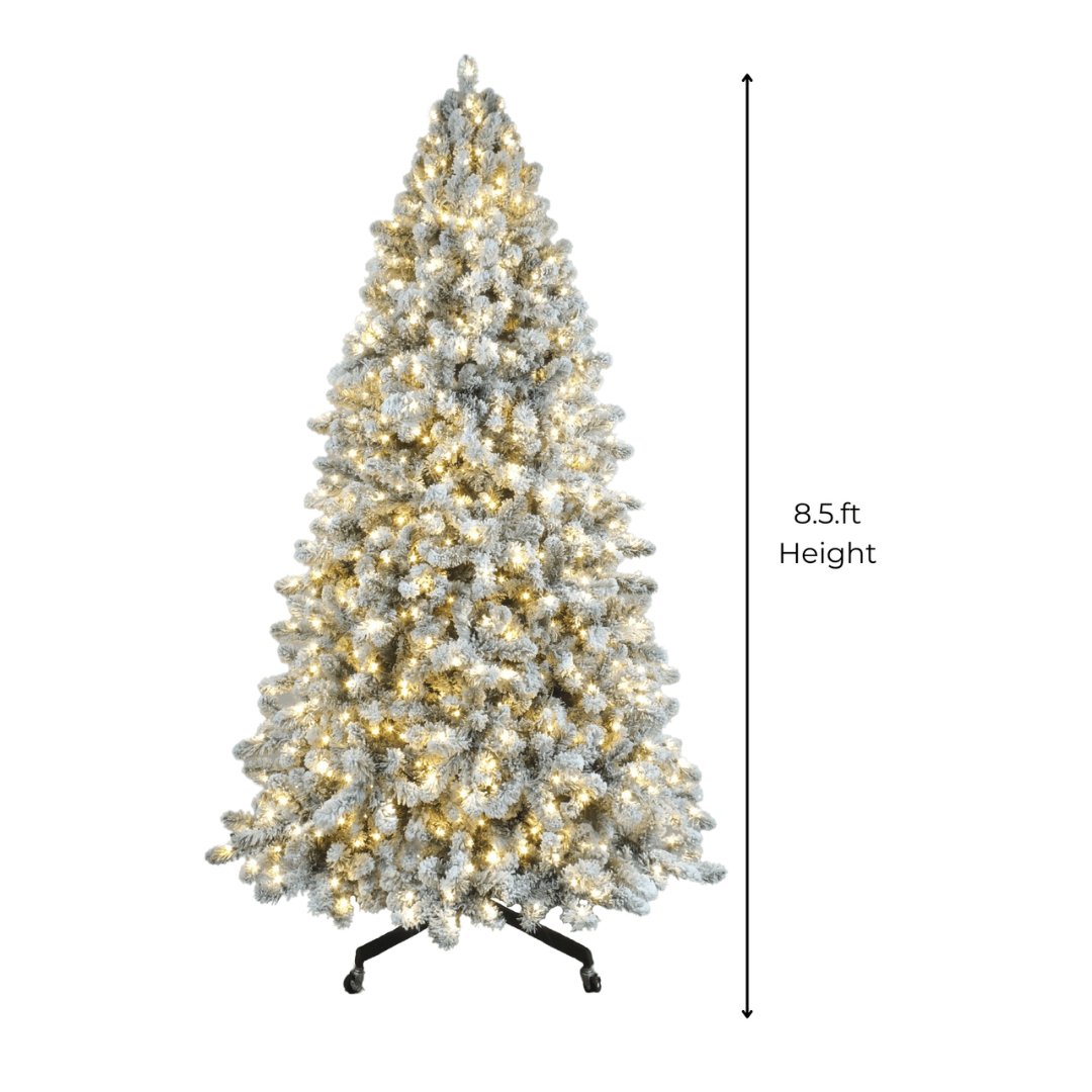 Joy By 8.5' Flocked Christmas tree with 900 Warm White LED Lights