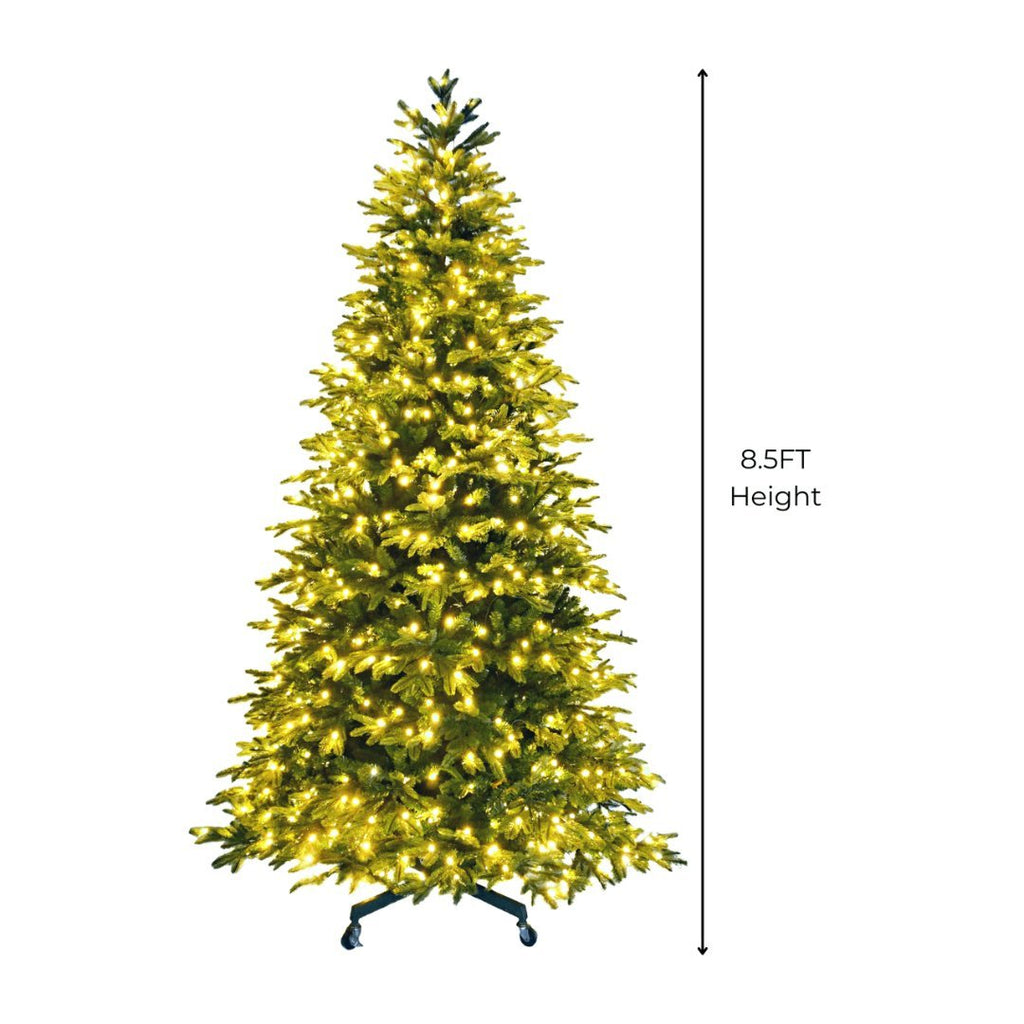 Joy By 8.5' Pre-lit Fraser Fir Christmas Tree with 900 Warm White LED Lights