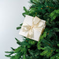 Matte Gift Box Ornament