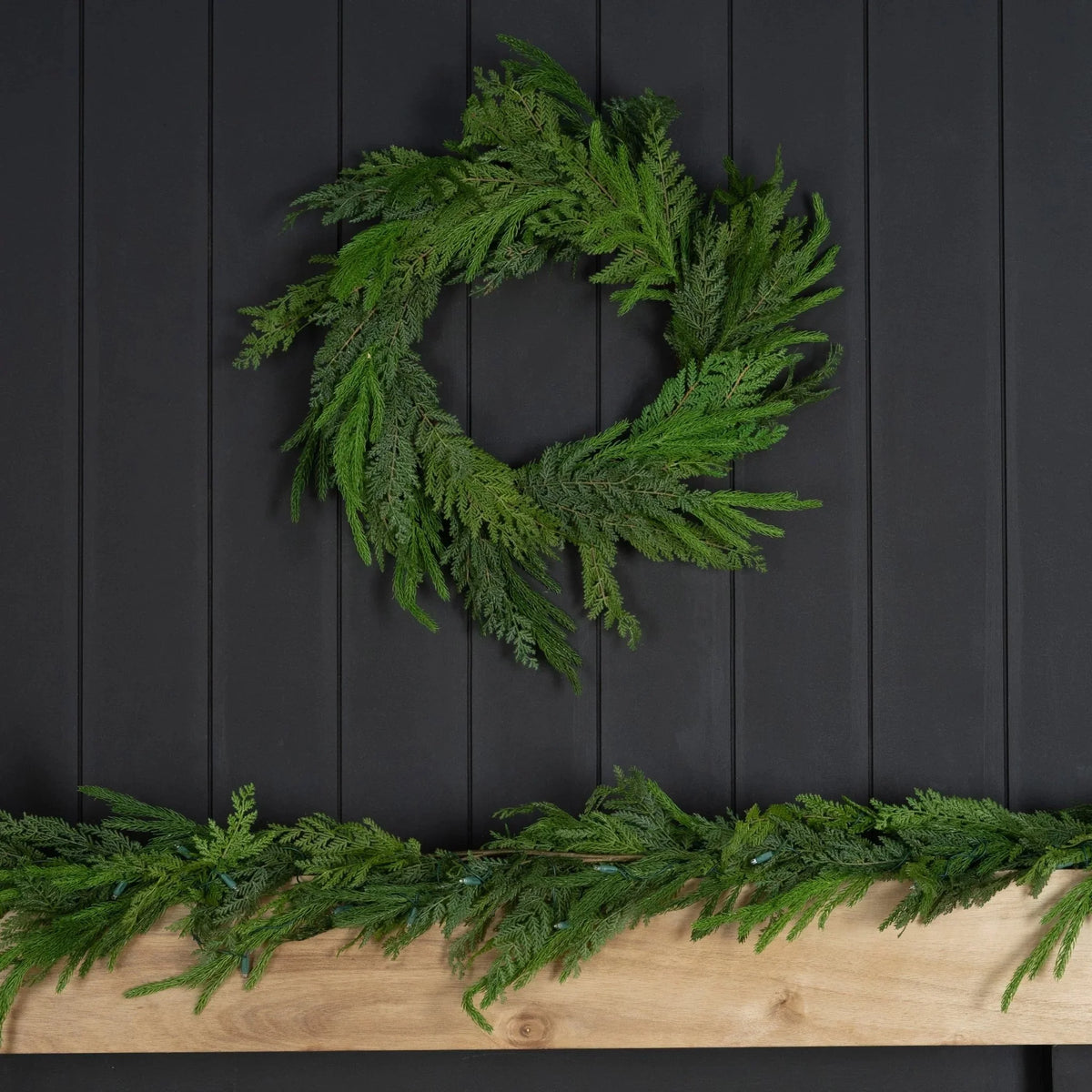 28" Norfolk Pine Wreath