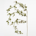 Natural Green Botanical Pick