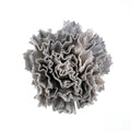 Silver Glitter Carnation Flower Ornament