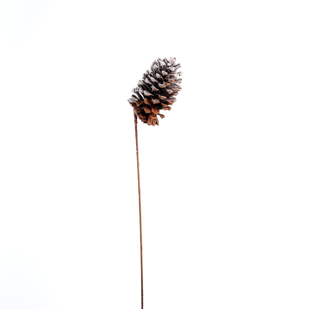 Single Pinecone With Snow Pick