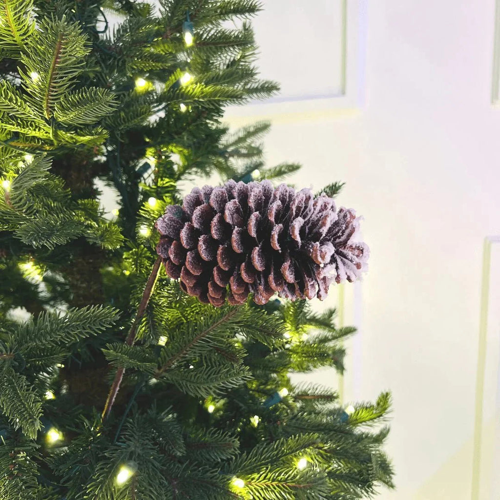 Single Pinecone With Snow Pick