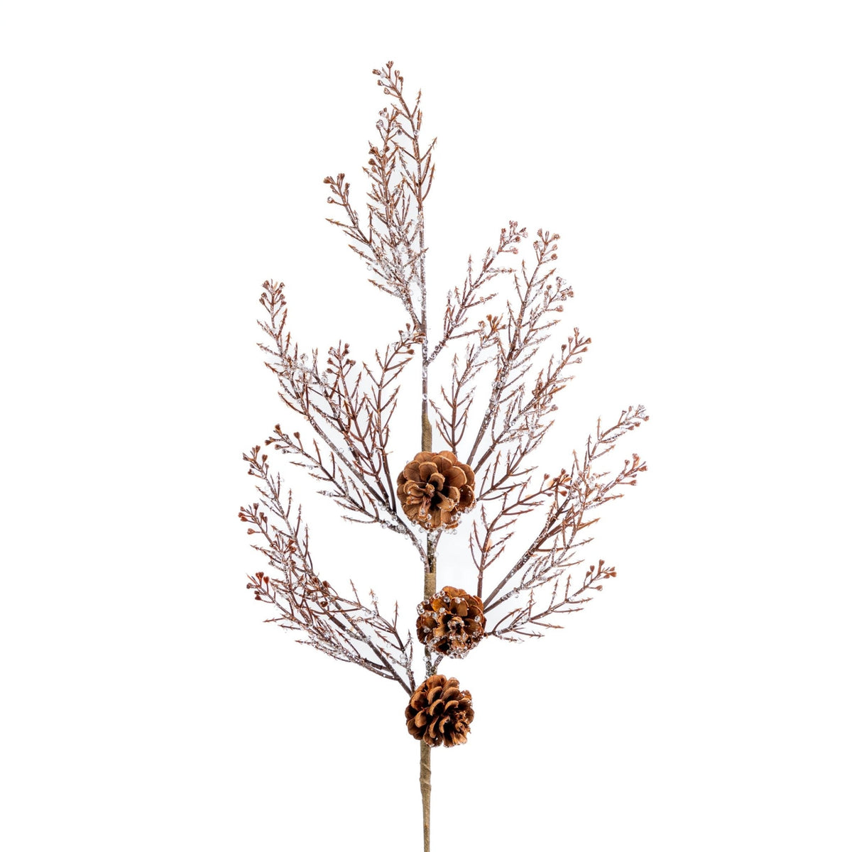 Winter Snow-Covered Branch Tree Pick With Pinecones
