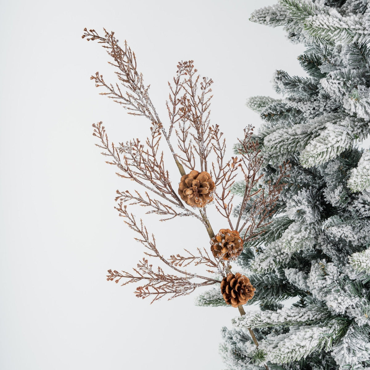Winter Snow-Covered Branch Tree Pick With Pinecones
